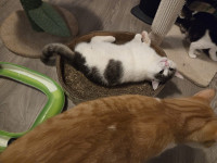 /album/262/whatsapp-image-2026-04-08-at-16-51-19-7-jpeg/